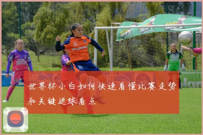 世界杯小白如何快速看懂比赛走势和关键进球看点