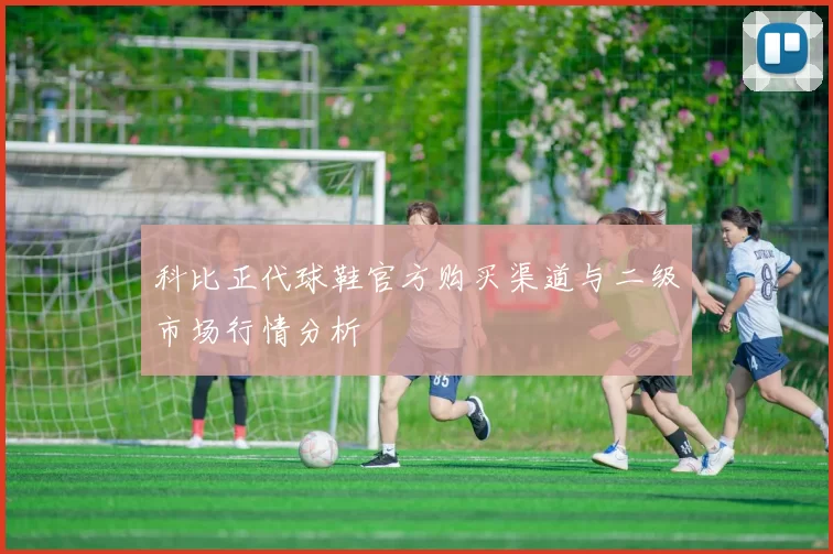 科比正代球鞋官方购买渠道与二级市场行情分析