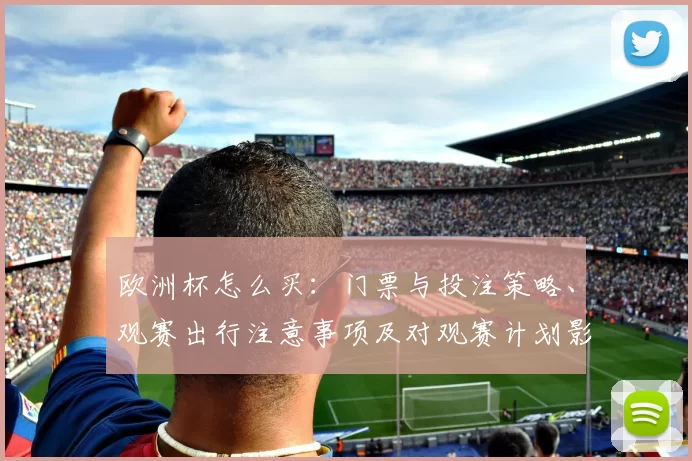 欧洲杯怎么买:门票与投注策略、观赛出行注意事项及对观赛计划影响