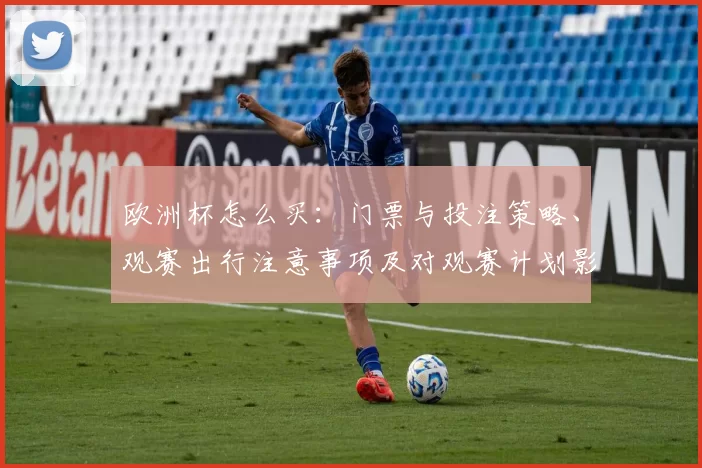 欧洲杯怎么买:门票与投注策略、观赛出行注意事项及对观赛计划影响
