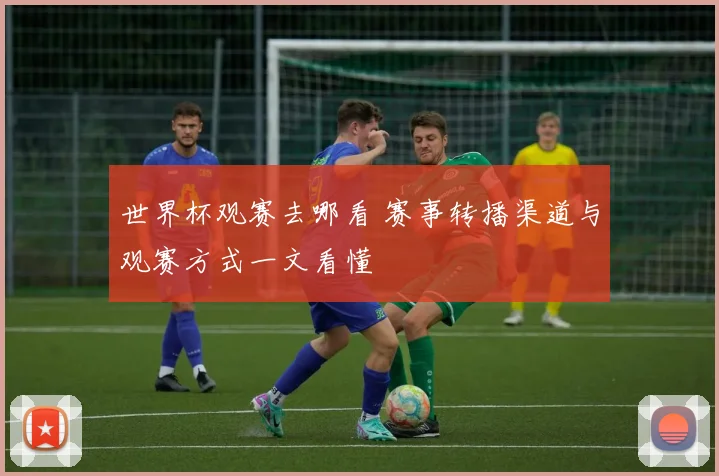 世界杯观赛去哪看 赛事转播渠道与观赛方式一文看懂