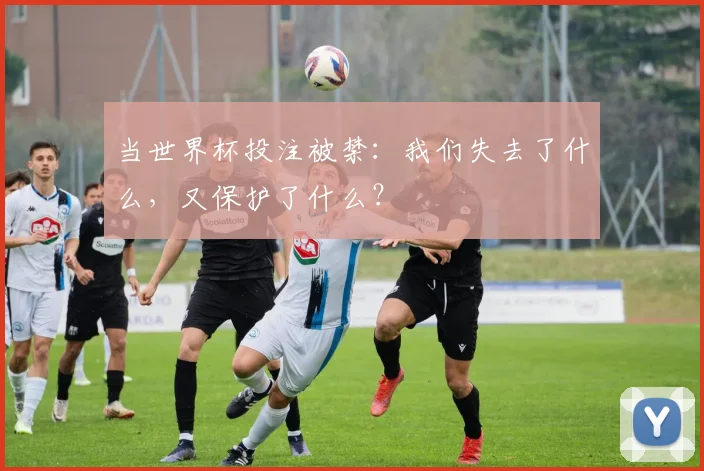 当世界杯投注被禁：我们失去了什么，又保护了什么？