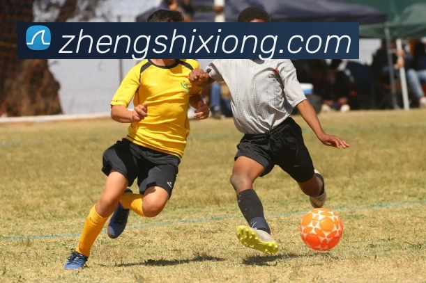 raybet雷竞技登录|raybet雷竞技登入APP 封面图